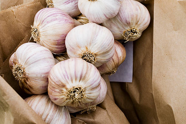 bunch of garlic close up.selective focus, shot macro