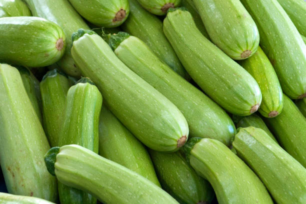 Zucchini